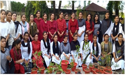 Plantation Drive.
